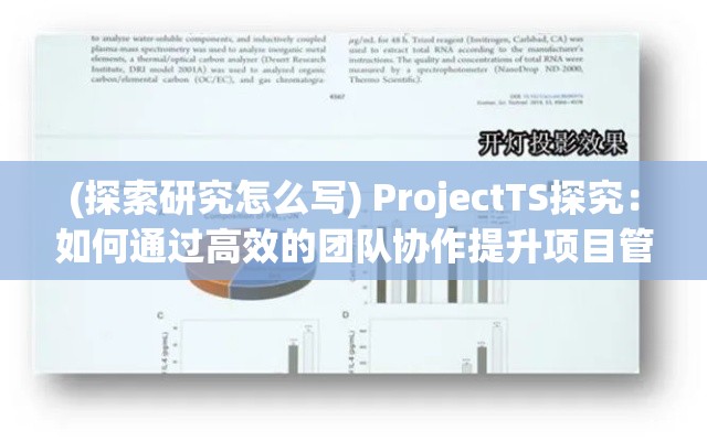 (探索研究怎么写) ProjectTS探究：如何通过高效的团队协作提升项目管理成功率？探索关键策略与实用工具。